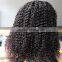 100% human hair afro kinky curly full lace wigs for black woman