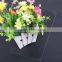 0.75mm Clear Polystyrene Sheet used in Photo Frame