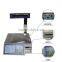 Bizsoft Dahua TM-Aa-5d electronic weigher printing barcode in English for supermarket