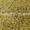 High Quality Frozen Golden Sweet Corn Grade A