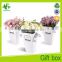Pure White cardboard high quality vintage style flower gift box                        
                                                Quality Choice