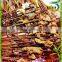 Bamboo Kabob Skewers BBQ Vegetable Meat Kebab Stick Grill Fruit Bamboo skewers