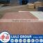 18mm bintangor plywood in sale
