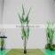 Artificial Plant Water Beauty