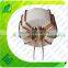 power inductor toroild core core inductors