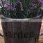 Newest Design Hanging Plant Bonsai Bonsai Plants For Sale