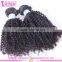 Factory wholesale 7A grade mongolian kinky curly hair weave virgin kinky curly hair