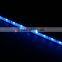 led strip 5050warm white /cold white/ Blue color with plastic cover led lamp wholesale CE&RoHS