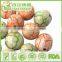 HACCP,ISO,BRC,HALAL Certification Thai Wasabi Peanuts