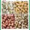 High demand groundnut blanched peanut for sale