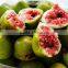 Supply Good Quality Freeze Dried Fig From CHINA
