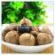 Immune & Anti-Fatigue Function Factory Supply Black Garlic