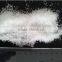 MSG monosodium glutamate with high purity and free salt