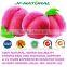 100% natural Peach Seed Extract Peach Seed P.e. ISO, GMP, HACCP, KOSHER, HALAL certificated