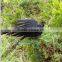 2015 New Hunting Decoy artificial crows wholesale