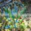 Various Plastic Pepper Drip Irrigation Arrow Manufacturer