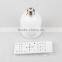 Wholesale Bluetooth LED Light Bulb Speaker With Led Light Led Speaker Quran Lamp