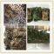 Army Style 3D Leaf Like High Quality Multi Spectral Malaysia Camouflage Net