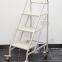 Metal Book Ladder For Archive