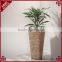 Indoor tall planter unique natural water hyacinth woven pot for plant