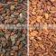 ZRWS high effective cocoa bean color sorter/processing machinery for cocoa bean processing line