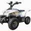 street legal 800W cheap electrical atv (EATV-05)