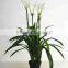 SJ3000101 Factory wholesale artificial home bonsai flower shrubs tree for sale