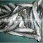 2017 New frozen sardines price for wholesale