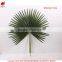 Artificial autumn leaves and foliage plants big leaf spring