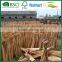 Cheap Broom Handle Wood Pine Wood Broom Handle Crabstick