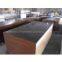 GIGA commercial plywood /GIGA film faced plywood manufacturer
