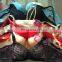 Nice Mixed Fashion Ladies Underwear Bras Lady Women Underwear Xxx Bra Picture For Indian sexy bra for Girls