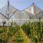 agricultural netting anti hail , anti hail netting for vineyard, fruit tree protect