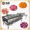 Convenient durable cherry fruit sorting machine cherry fruit grader with best price
