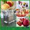 Top quality hard ice cream machine / table top small batch freezer for shop