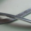 Wall Green Manufacturer Aluminum Square Pass Integrated Ceiling Fashion
