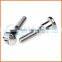 China Supplier Torx Head Anti-theft Screw