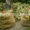 Best sellers product with Durian 100% natural premium in Viet Nam