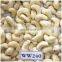 Cashew kernels with reasonable prices/All Size Cashew Nut from Vietnam