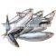 frozen sardine fish Sardinella Longiceps for bait and canning