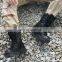 Wholesale Commando Tactical Waterproof Botas Tactic shoes Botas Militares Combat Army Boots Tactical Military Boots