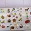 FDT custom removable cheap children girl sticker book