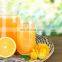 Fruit Pulp Machine Equipment/fruit Juice Processing Machine