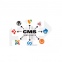 Web Developers Web Design Custom Content Management Software for Business Growth Available at Wholesale Price