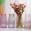 Glass Vase Transparent Hydroponic Colorful Vase Flower Pot Living Room Home Decoration