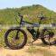 2015 best seller 500W 48V electric mountain fat tire e bike with SGS CE EN15194 from China real factory