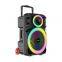 SING-E ZQS12121 12 Inch Portable Trolley Subwoofer Speaker With Colorful RGB Lights 60W Deep Bass Support Dual Wireless Mic