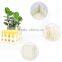 natural wooden Flower display Shelf, Plant tray