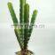 Wholesale Artificial Cactus And Succulent Artificial Bonsai Succulent Plants