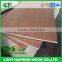 3mm 4mm 5mm 6mm cheap furniture and packing grade plywood / poplar or combi core plywood / plywood sizes
